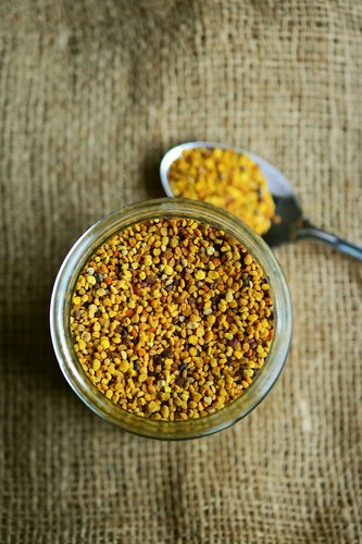 Blütenpollen 500g aus eigener - 500g,