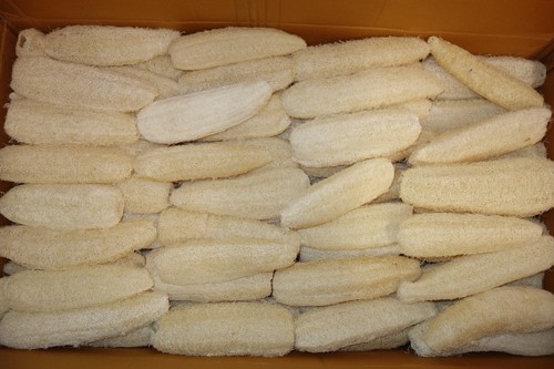 Luffa ganze gurke cm - luffa,